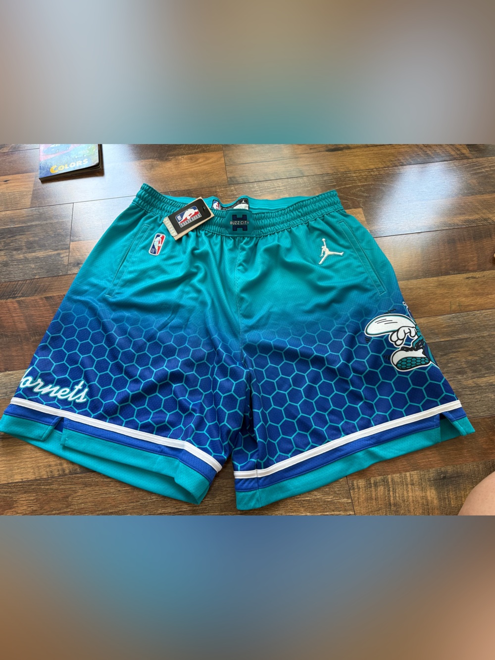 Charlotte Hornets dri fit shorts
